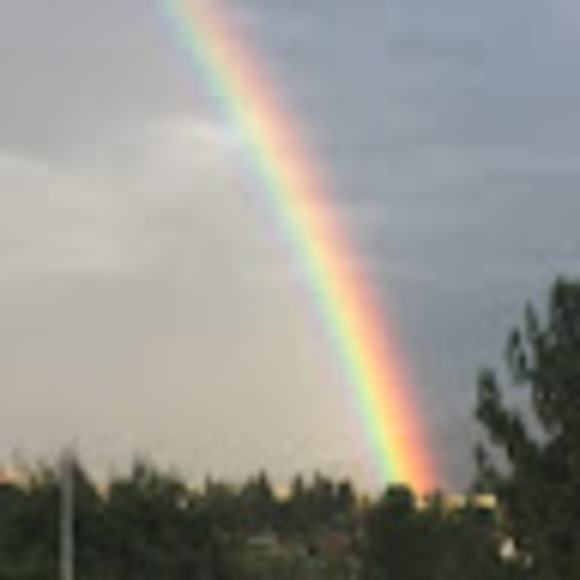 Meet your Posher, Shelley - Picture 1 of 1